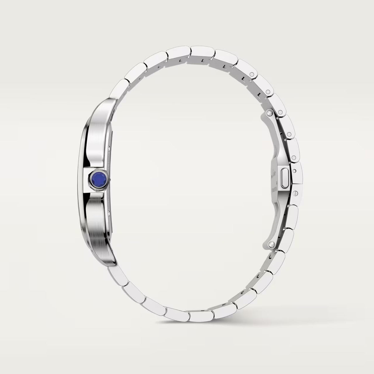 Santos de Cartier SKELETON 39,8MM